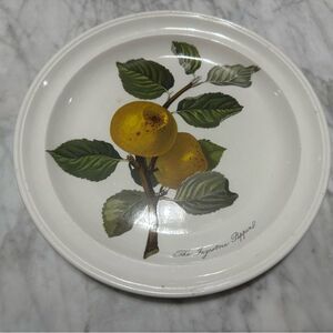 PORTMEIRION POMONA INGESTRIE PIPPIN 8 5/8" SALAD PLATE NEAR MINT V.RARE